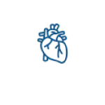 Cardiovasculaire