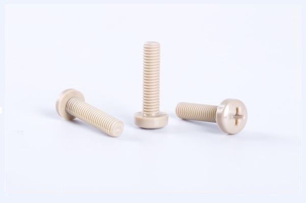 Vis à tête ronde cruciforme en PEEK