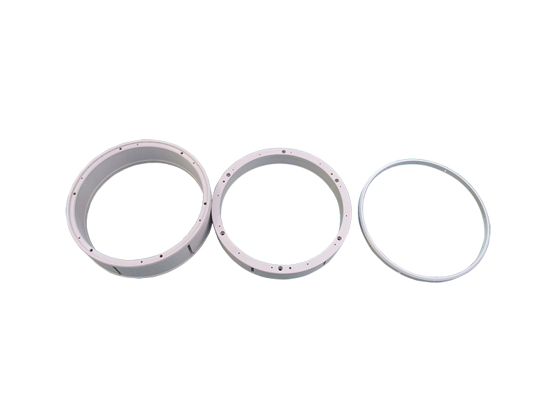 Anneau de placage PEEK en trois types