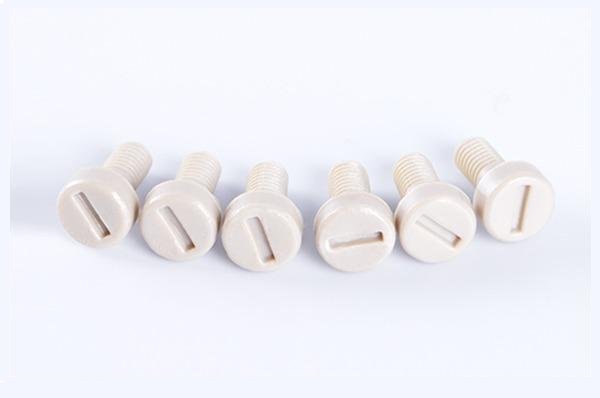 Vis à tête ronde fendue en PEEK