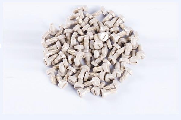 Vis à tête ronde fendue en PEEK